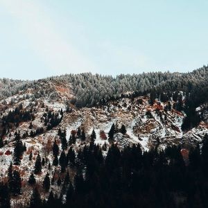 Meet your Posher, Kennady